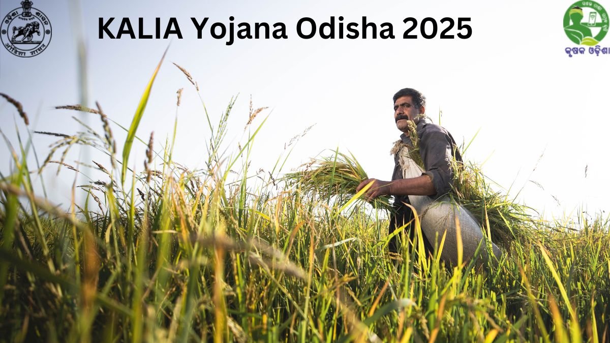 KALIA Yojana Odisha