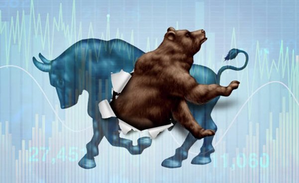 How to Read Quotex Charts: Beginner’s Friendly Guide