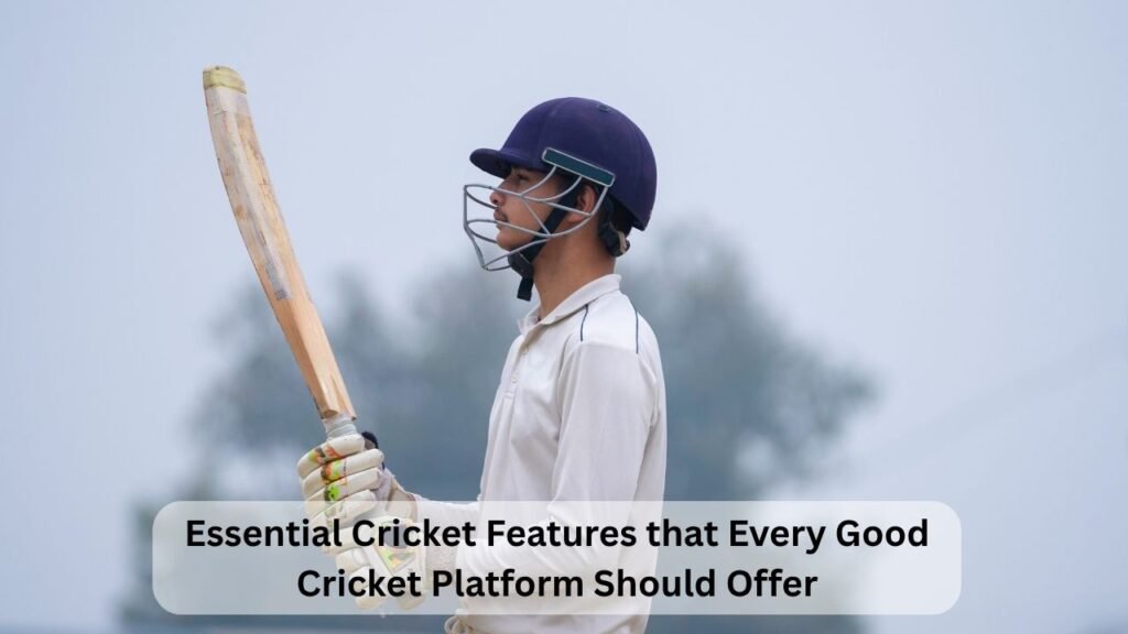 Essential Cricket Features that Every Good Cricket Platform Should Offer