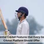 Essential Cricket Features that Every Good Cricket Platform Should Offer